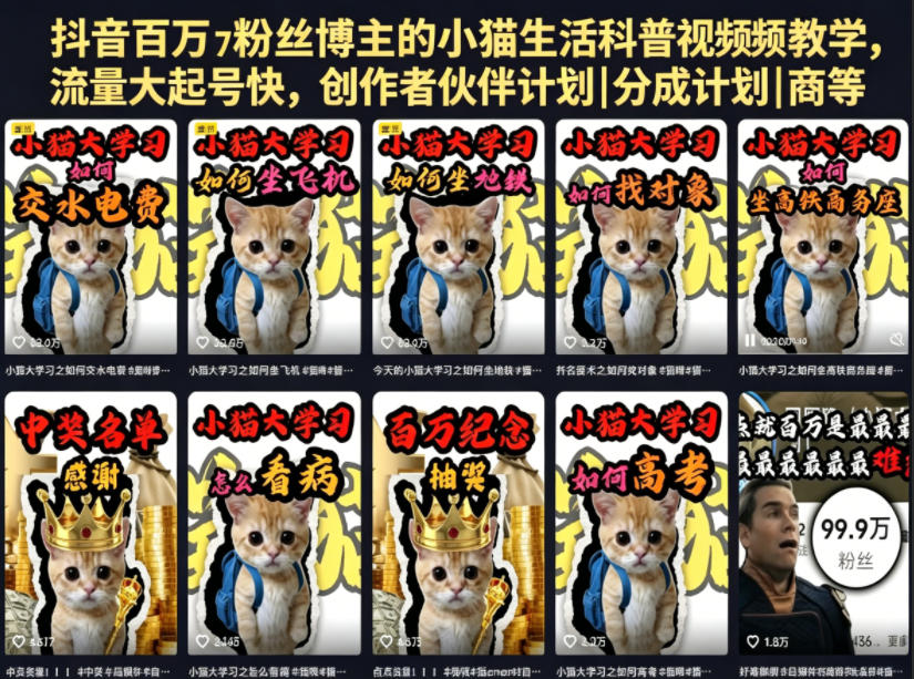 抖音百万粉丝博主的小猫生活科普视频教学