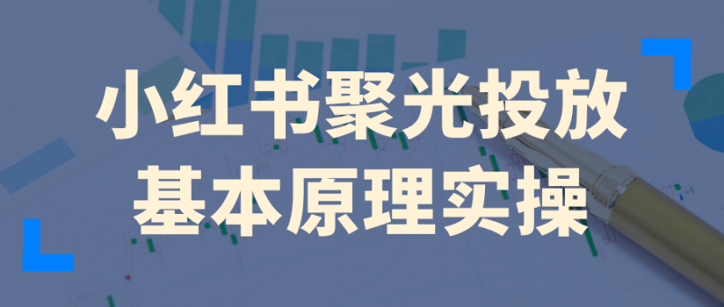 小红书聚光投放基本原理实操-渡漳网