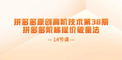《拼多多原创高阶技术》拼多多阶梯提价破量法-渡漳网