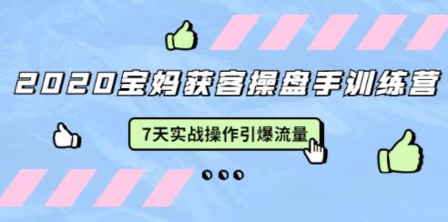 宝妈获客引流技术训练营,7天实战操作引爆流量-渡漳网