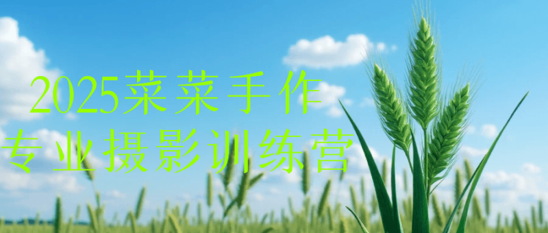 2025菜菜手作专业摄影训练营-渡漳网