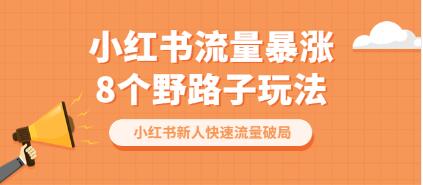 《小红书流量暴涨8个野路子玩法》小红书新人快速流量破局-渡漳网