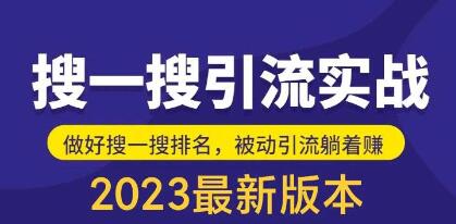 《公众号搜一搜引流实训课》日引200+-渡漳网