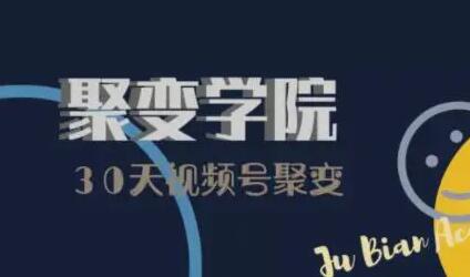 视频号运营+引流变现+视频号制作筹备+视频剪辑-渡漳网