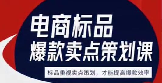 大圣《电商标品爆款卖点策划课》标品卖点成就爆款,可落地卖点提炼课-渡漳网