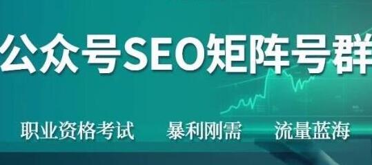 高鹏圈《公众号SEO矩阵号群项目》实操20天纯收益25000+,普通人都能做-渡漳网