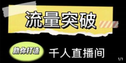 《直播运营实战视频课》助你打造千人直播间-渡漳网
