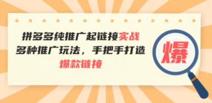 《拼多多纯推广起链接实战》多种推广玩法，手把手打造爆款链接-渡漳网