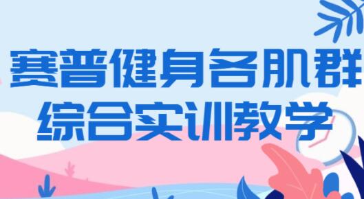 赛普健身视频，各肌群训练视频教程(手-胸-腹-肩-背-臀-腿)等-渡漳网