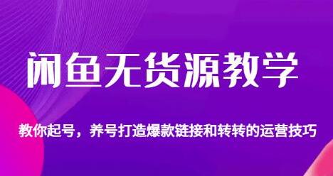 《闲鱼无货源教学》养号打造爆款链接以及转转的运营技巧-渡漳网