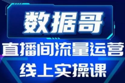 数据哥《直播间流量运营线上实操培训课程》不能错过的一套系统课教程-渡漳网