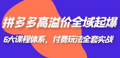 《拼多多高溢价全域起爆》6大课程体系，付费玩法全套实战-渡漳网