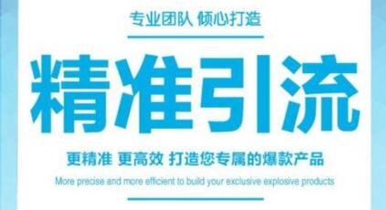 引流培训高级课,教你被动引流日均100+精准客户-渡漳网