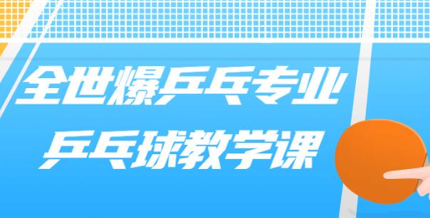 乒乓球教学视频《专业乒乓球教学》教程-渡漳网