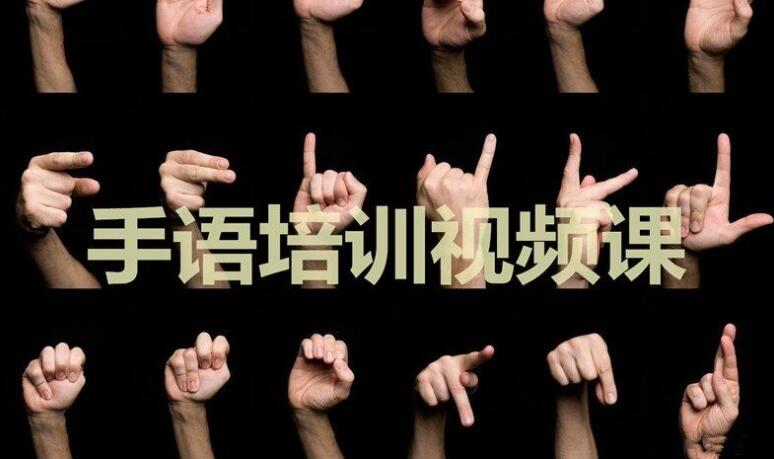 手语教程,手语教学视频,标准手语培训视频-渡漳网