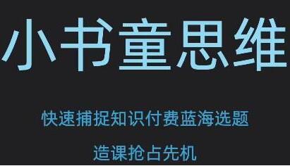 林雨《小书童思维课》快速捕捉知识付费蓝海选题-渡漳网