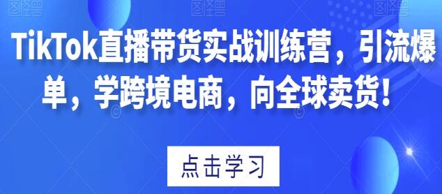 《TIKTOK直播带货实战训练营》引流爆单,学跨境电商,向全球卖货-渡漳网