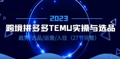 《拼多多跨境TEMU实操与选品》趋势,选品,运营,入住-渡漳网