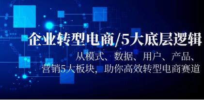 《企业成功转型电商的5大底层逻辑》模式/数据/用户/产品/营销5大板块，高效转型-渡漳网