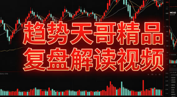 趋势天哥 精品复盘解读视频-渡漳网