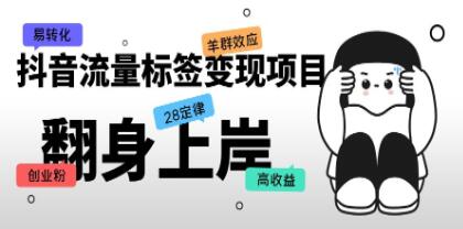 《抖音流量标签变现项目》抖音创业粉轻松转化,单价高收益简单-渡漳网