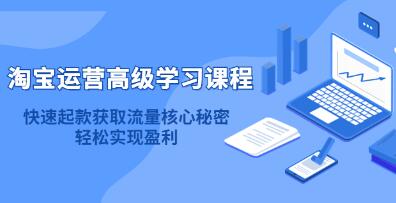 《淘宝运营高级学习课程》快速获取流量核心秘密，轻松实现盈利！-渡漳网