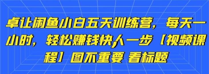 卓让《闲鱼项目小白五天训练营》每天一小时，轻松赚钱快人一步-渡漳网