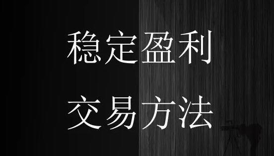 李君壮《牛熊市皆赢利的秘诀与绝招》炒股教程视频-渡漳网