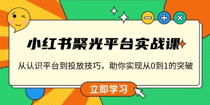 小红书聚光平台实战课,从认识平台到投放技巧-渡漳网