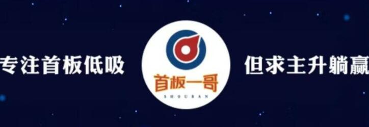 首板一哥《股票视频课程》-渡漳网