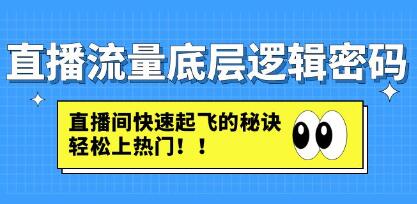 《直播流量底层逻辑密码》直播间快速起飞的秘诀,轻松上热门-渡漳网