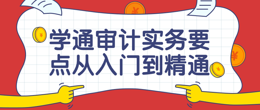 学通审计实务要点