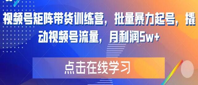 《视频号矩阵带货训练营》批量暴力起号,月利润5W+-渡漳网