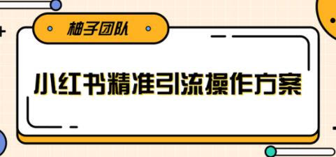 小红书精准引流操作方案，能够直接落地实操引流技术-渡漳网