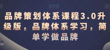 《品牌策划体系课程3.0升级版》品牌体系学习-渡漳网