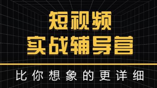 达人队长《短视频实战辅导营》比你想象的更详细-渡漳网