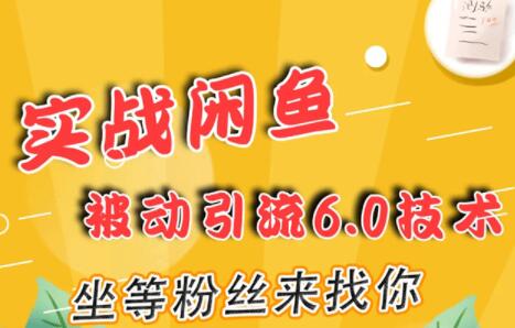 闲鱼被动引流技术6.0，坐等粉丝来找你，实战培训课程视频-渡漳网
