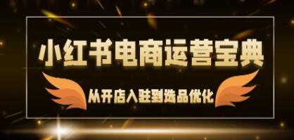 《小红书电商运营宝典》从开店入驻到选品优化,一站式解决你的电商难题-渡漳网
