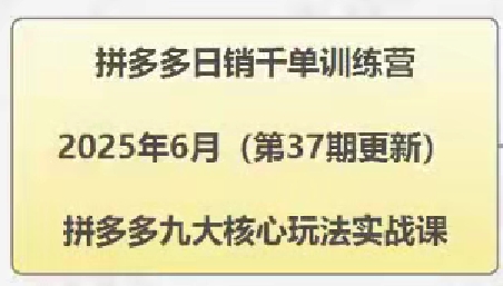 拼多多九大核心玩法实战课-渡漳网