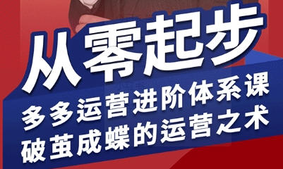 拼多多运营进阶系统课，从零起步，多多运营进阶体系课-渡漳网