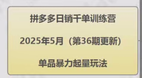 拼多多日销千单训练营,单品暴力起量玩法-渡漳网