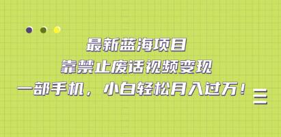 《最新蓝海项目》靠禁止废话视频变现-渡漳网