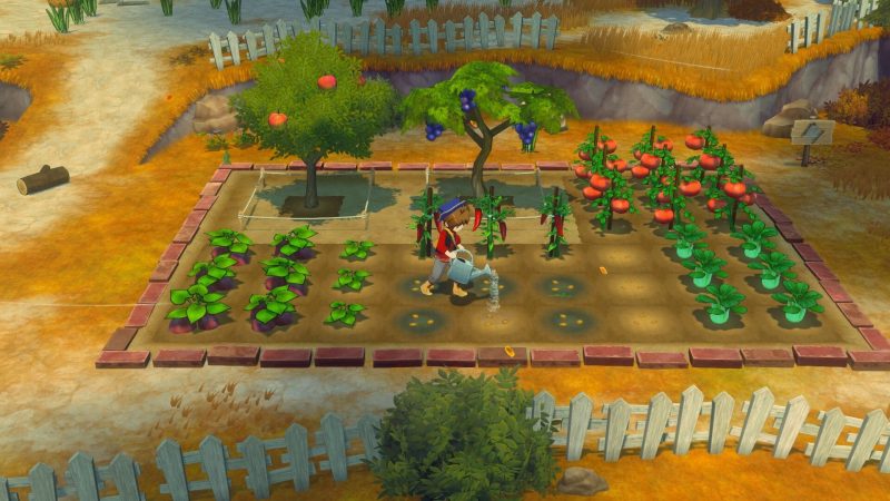 《牧场物语 来吧!风之繁华集市》v1.0.4中文版-渡漳网