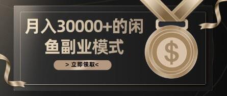 《月入30000+的闲鱼副业模式》一部手机就能操作，适合所有想赚钱的人！-渡漳网