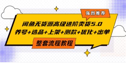 《闲鱼无货源高级进阶卖货5.0》养号+选品+上架+测款+优化+出单整套流程教程-渡漳网