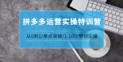 青云《拼多多运营实操特训营》从0到1单点突破,1-100带领实操-渡漳网