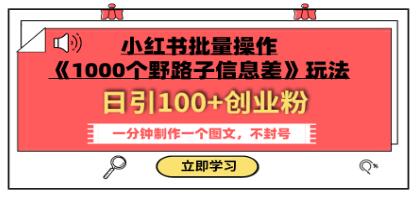 小红书批量操作《1000个野路子信息差》玩法 日引100+创业粉-渡漳网