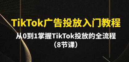 《TikTok广告投放入门教程》从0到1掌握TikTok投放的全流程-渡漳网