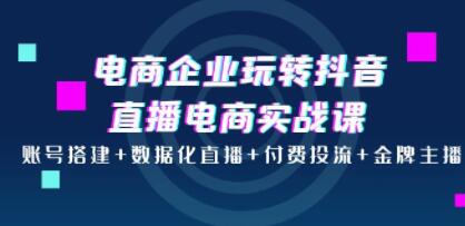 《电商企业玩转抖音直播电商实战课》账号搭建+数据化直播+付费投流+金牌主播-渡漳网
