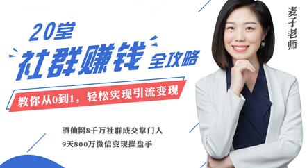 麦子《20堂社群运营赚钱攻略》即学即用的全体系社群掘金大课-渡漳网